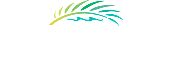 Discover The Palm Beaches