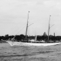 Alicia 1895