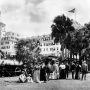 N2636 royal poinciana group