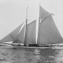Yacht America 1891