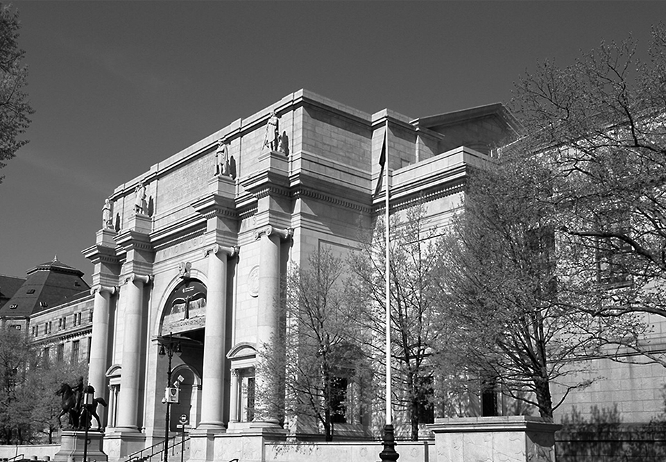 American Museum of Natural History 10w Grayscale 96dpi
